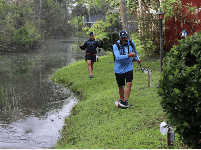 Bank Fishing