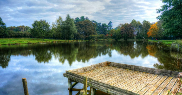 Small Waters, Big Fish: Tackling Ponds, Small Lakes, And Reservoirs