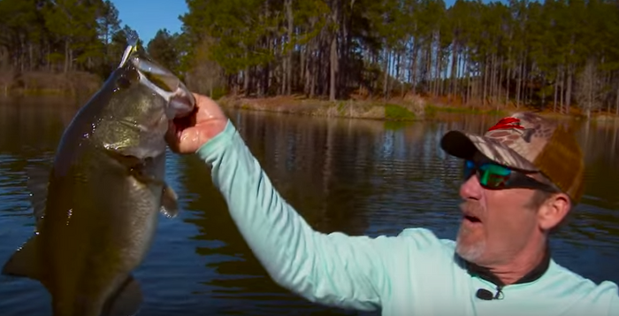 Tips For Fishing Points From Z-Man: Breaking Down The Bite