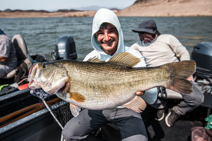 Giant Largemouth Bass