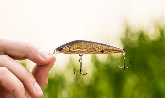 10 Bass Fishing Lures Every Angler Needs In Their Tackle Box