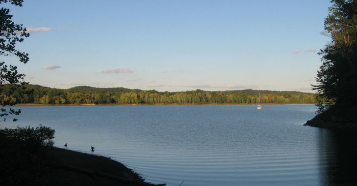 How To Read Feeder Creeks To Find Bass In Lakes