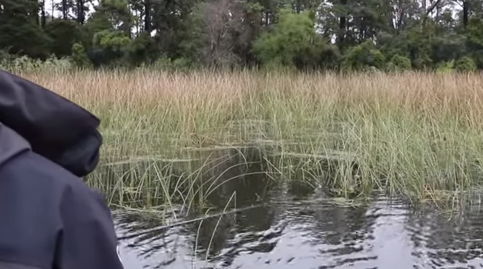 The 3 Best Presentations For Catching Bass In Heavy Cover