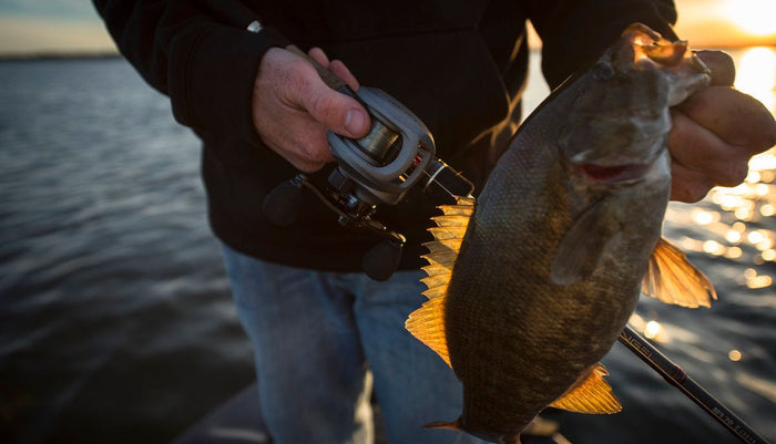 Baitcasting Reel and a bass