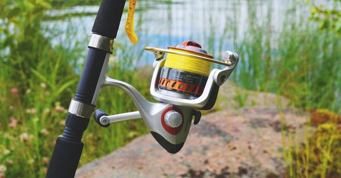 Spinning Reel
