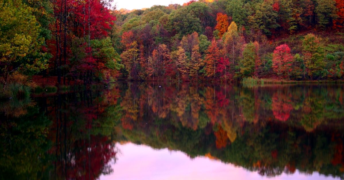 Fall Bass Fishing
