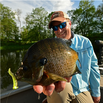 Panfish Plastics