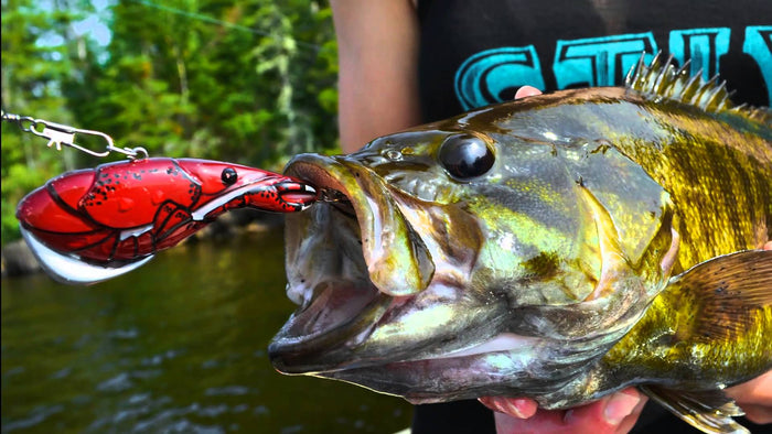 Introducing The Kamooki Smart Craw, A Revolutionary Lipless Crank