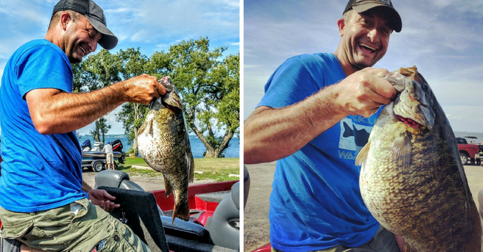 Fat-Bellied Smallmouth is Very Very Round, Not Very Long