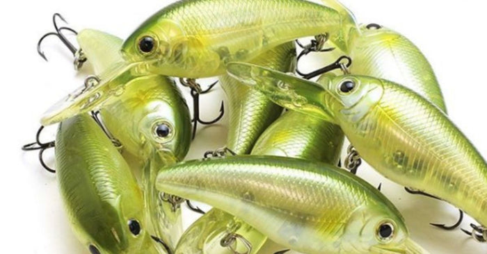 3 Must-Know Tips For Fishing Medium Depth Crankbaits