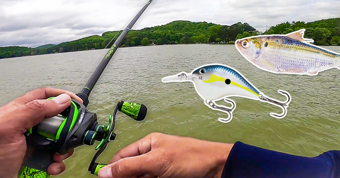 How To Catch A Shadload More Bass During The Spring