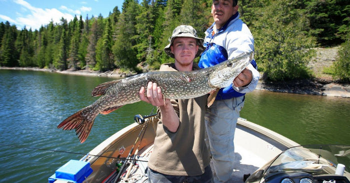 Pike Fishing 101: How To Catch The Northern Pike
