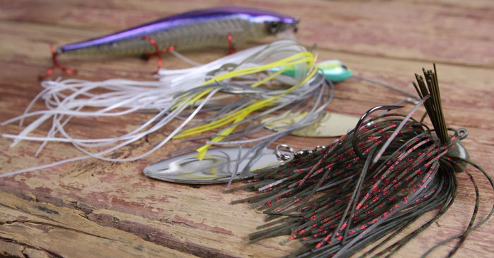 Point Fishing 101: The Best Baits To Fish A Point