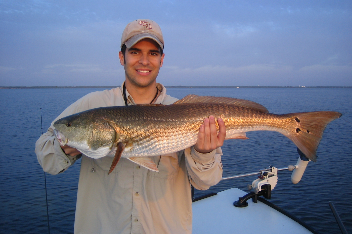 Redfish