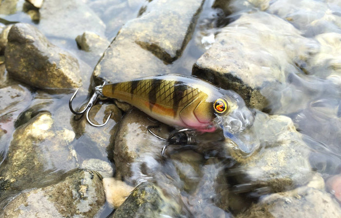 3 Places Square Bills Dominate The Bite