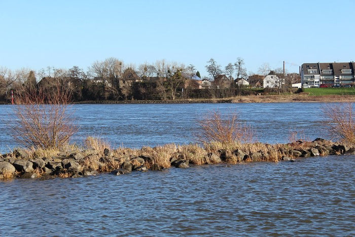 3 Presentations For Shallow-Water Bass