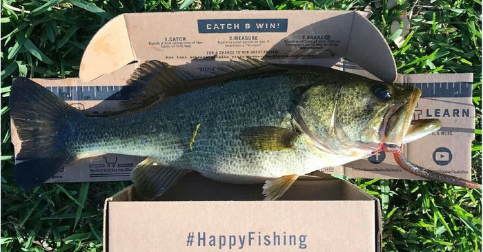 3 Places To Find Trophy Bass In The Late Spring Season