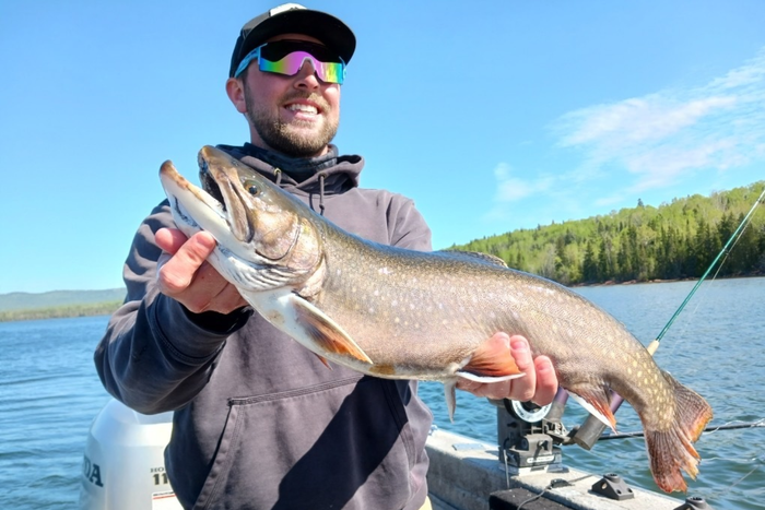 Trout