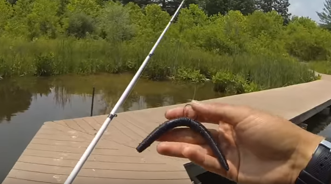 7 Unique Soft Plastics You Need To Try On A Wacky Rig
