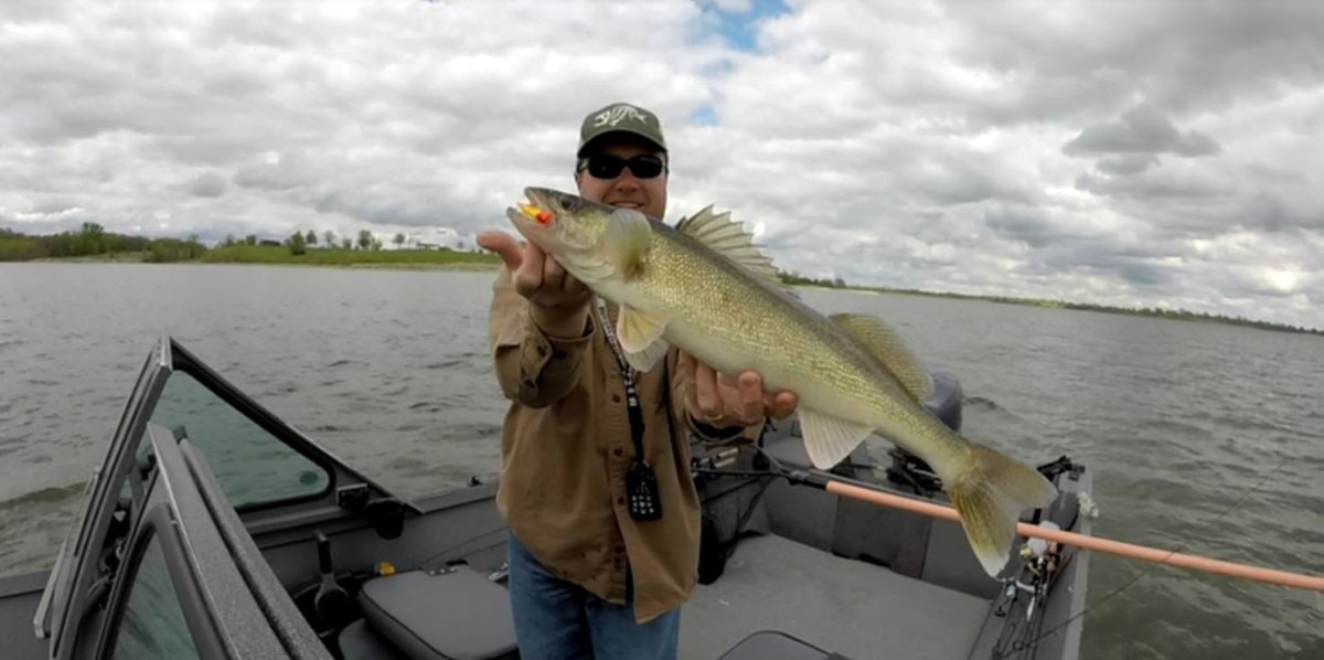 Walleye