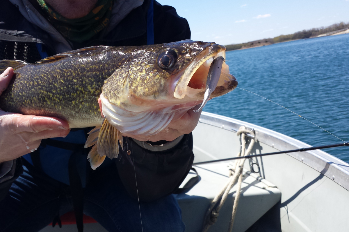 Walleye Plastics