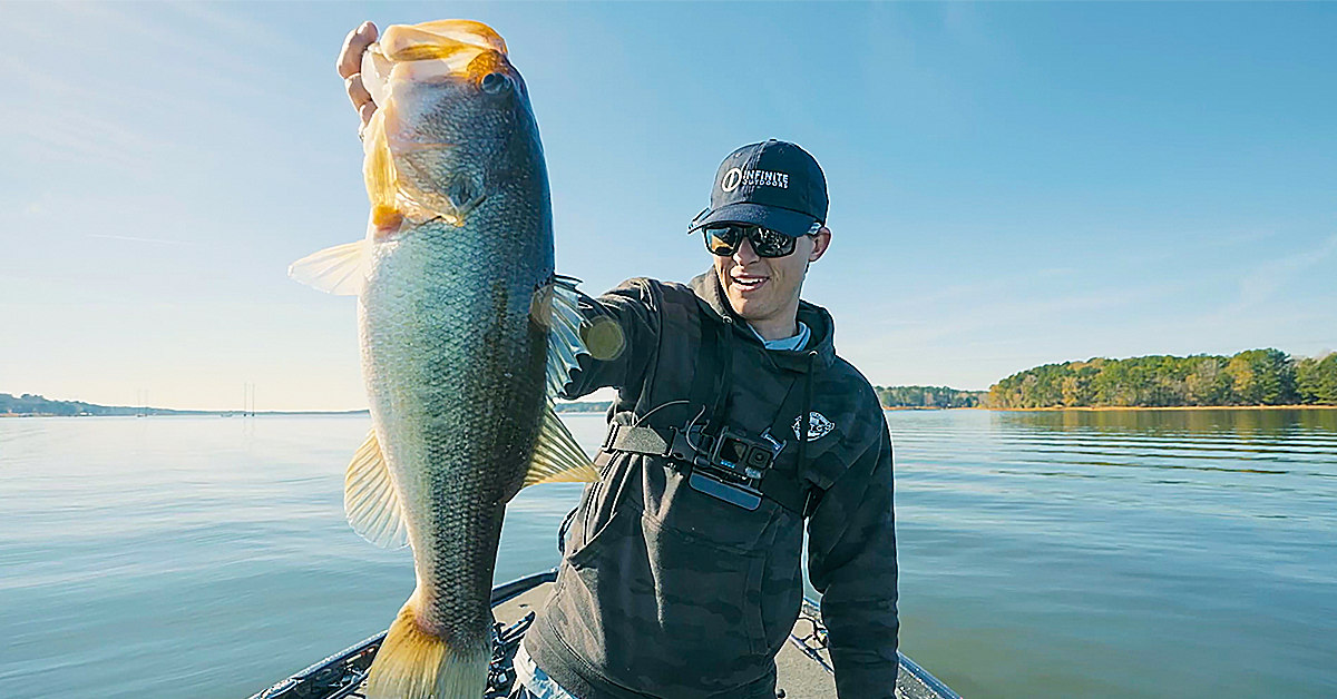 Bass