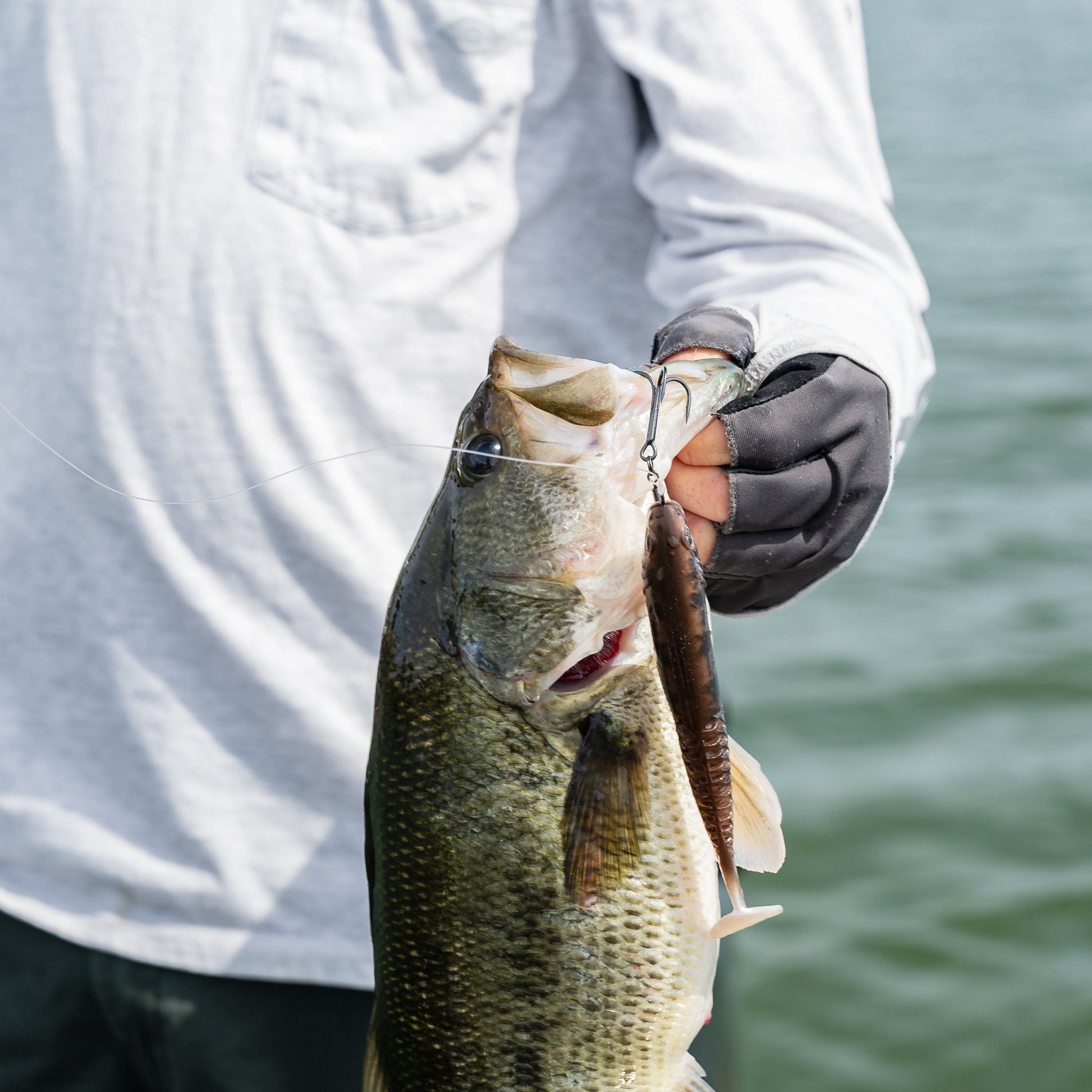 Swimbait Sensation Bass Fishing Kit1