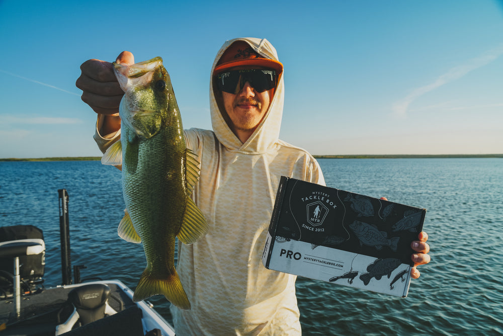 Build a better bass box