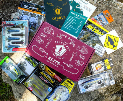 Elite Gift Credit | 3 Month