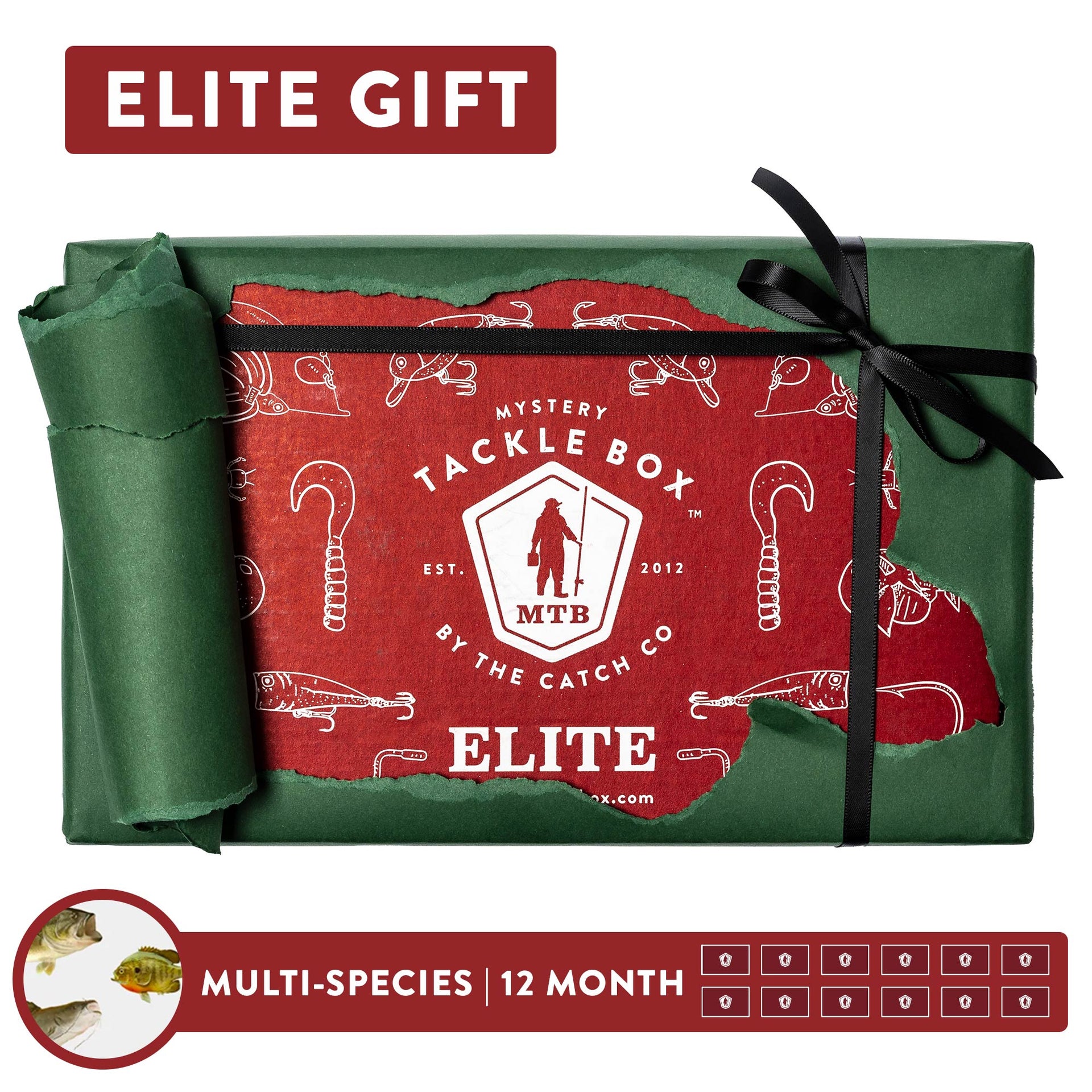 freshwater multispecies tackle box 3 Layer With Tackle Included, 321 Pcs Lure Kit Packed With Pliers, Crankbaits, Hooks, Weights And Accessories, Big, Easy-Access Organizer 34 adjustable compartments with plenty of bulk storage below The Ultimate Fishing Tackle Kit