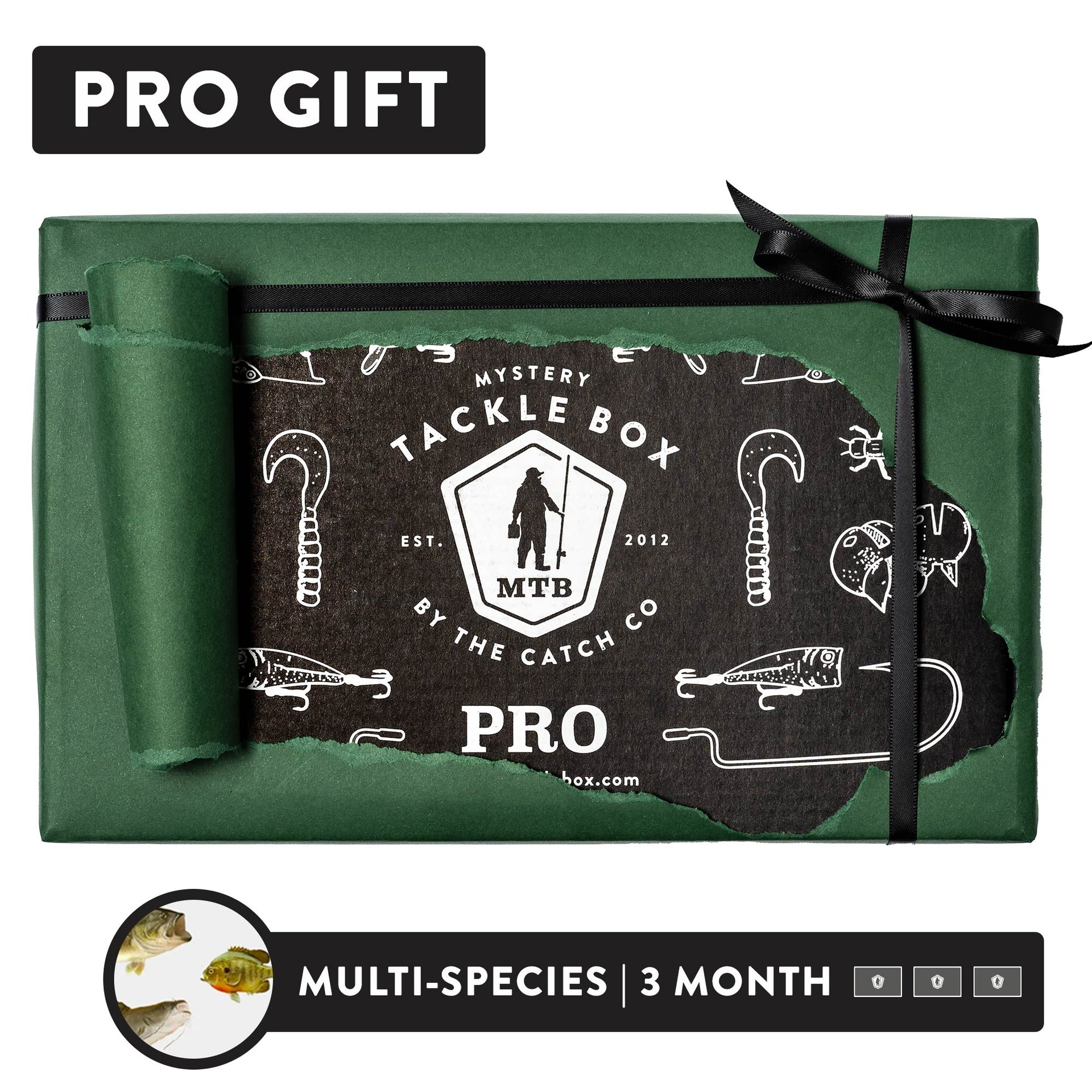 best fishing tackle box subscription Googan Squad Monthly Inside youll find lures THKFISH Fishing Tackle Box 3700S