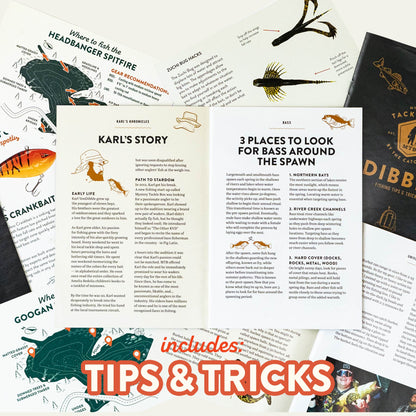 Regular Gift Credit | 12 Month