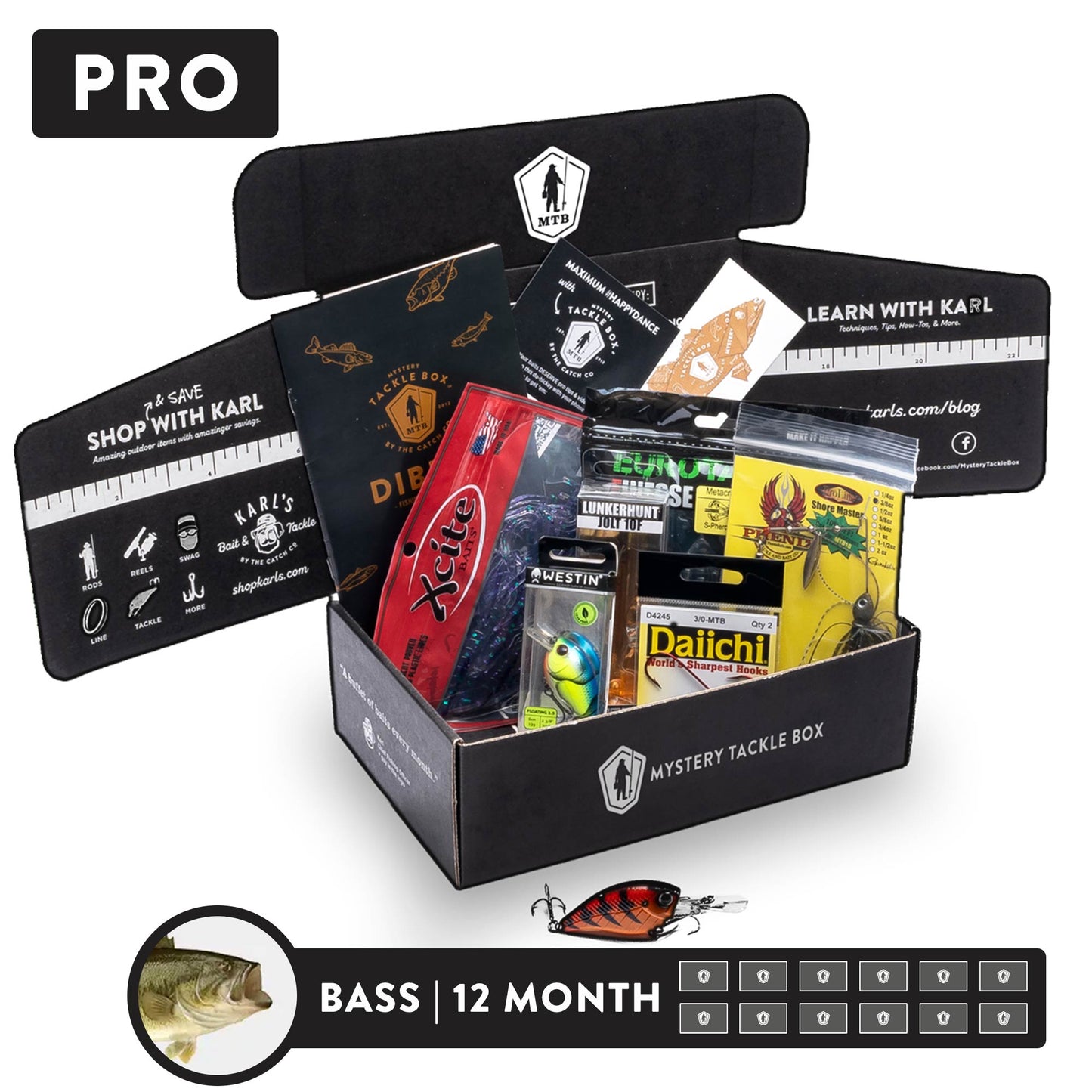 Pro x 12 Month