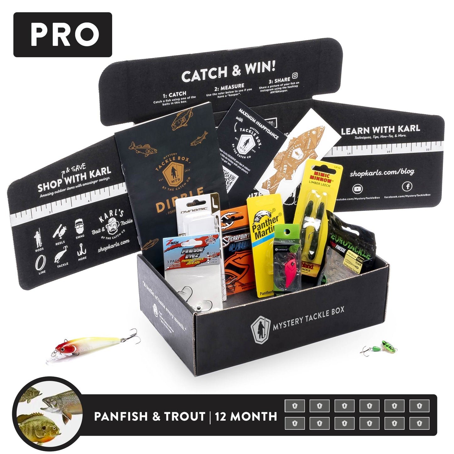 Pro x 12 Month