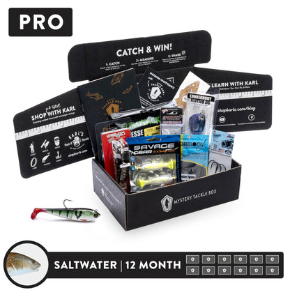 Pro x 12 Month