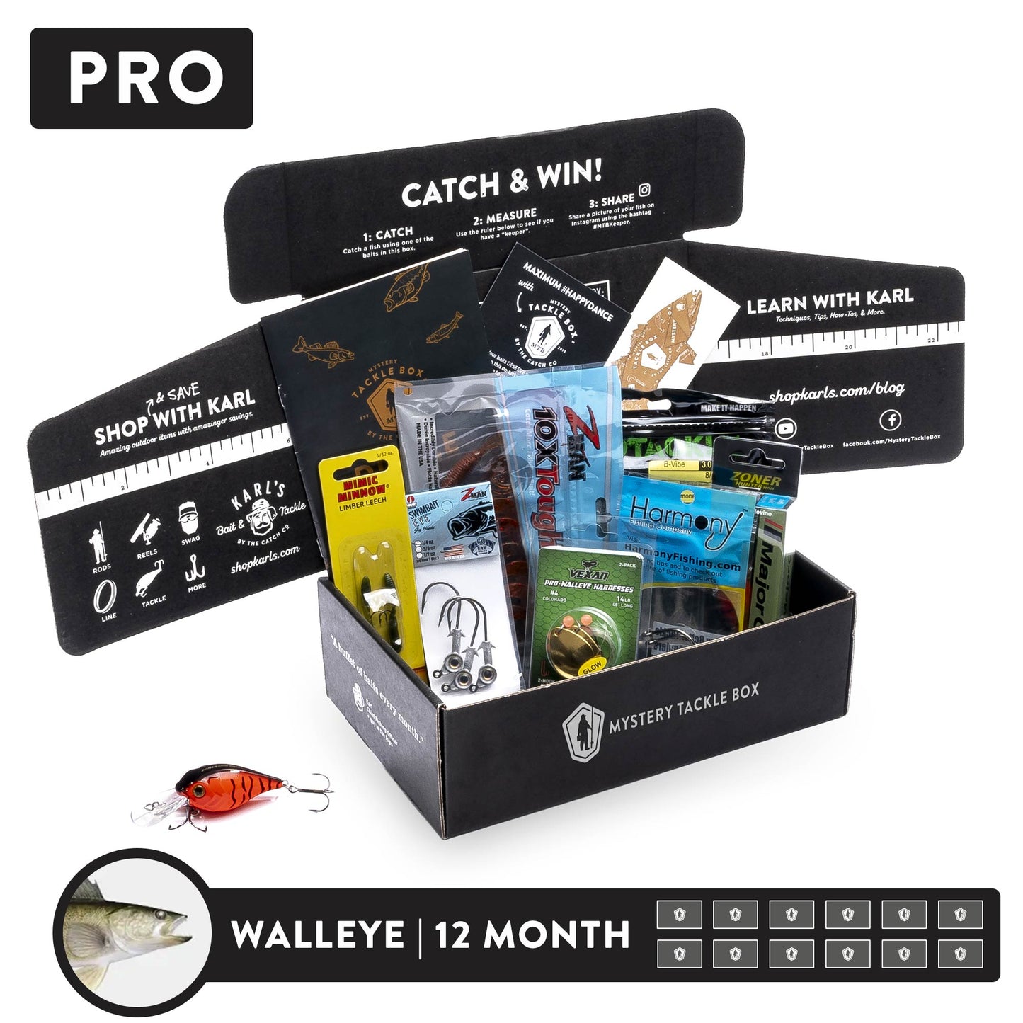 Pro x 12 Month Pro x 12 Month