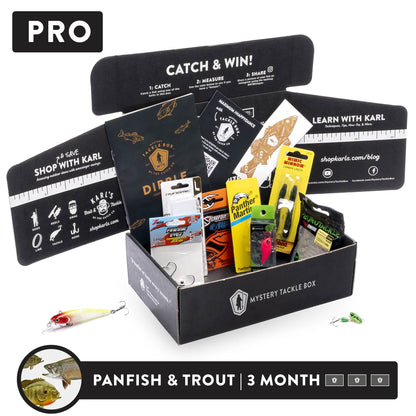 Pro | 4 Month
