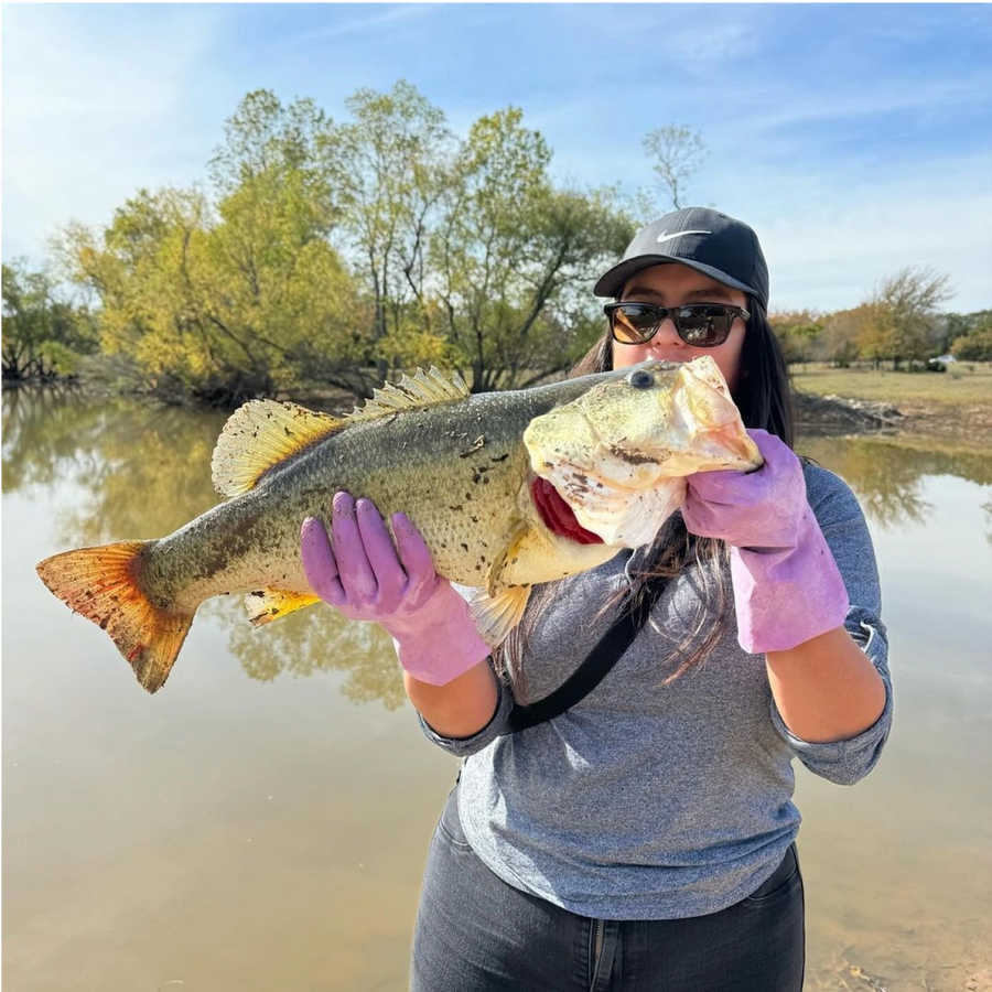 Beginner angler