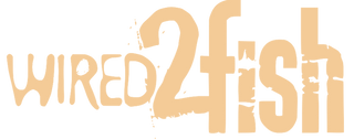 Wired 2 Fish