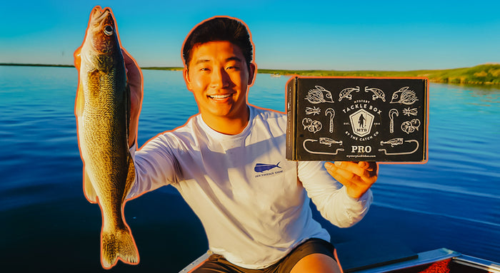 Find your next confidence bait
