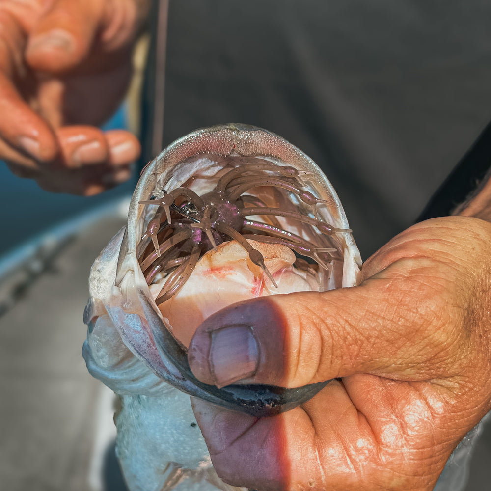 MTB Box Ultimate Urchin Fishing Kit