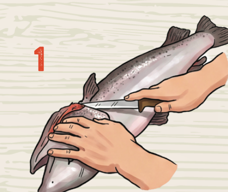 Cut behind the gills and pectoral fin down until you reach the backbone.