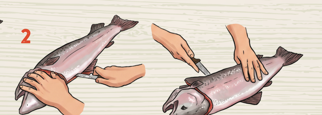 Turn the blade and cut through the ribs all the way to the tail, using the ba...