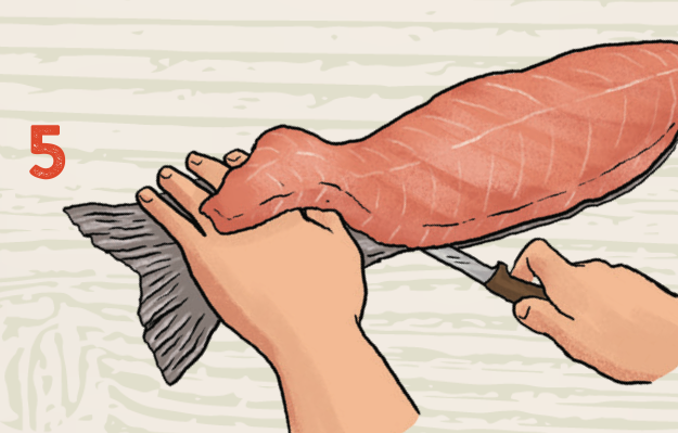 To remove the skin, place the fillet skin side down and insert the knife abou...