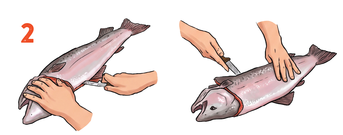Turn the blade and cut through the ribs all the way to the tail, using the ba...