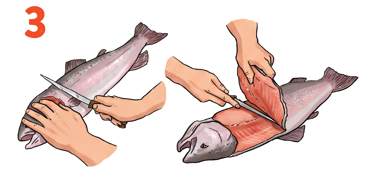 Turn the fish over and repeat the same cuts on the other side.
