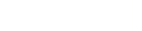 Mystery Tackle Box