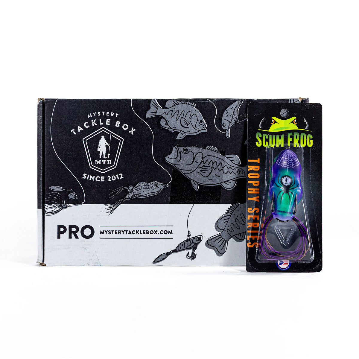 MTB Halloween Scum Frog