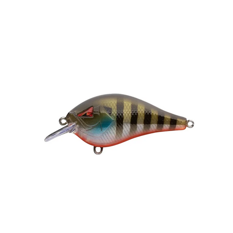 Team Ark Squarebill Crankbait
