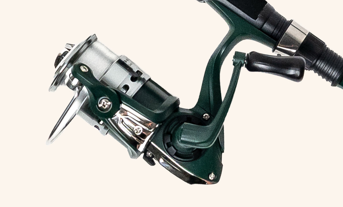 THE FULLY SPOOLED REEL
